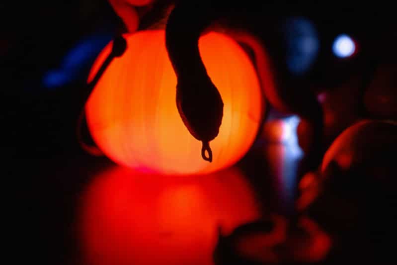 Украшение дома паутиной и летучими мышами к Хэллоуину в Алматы